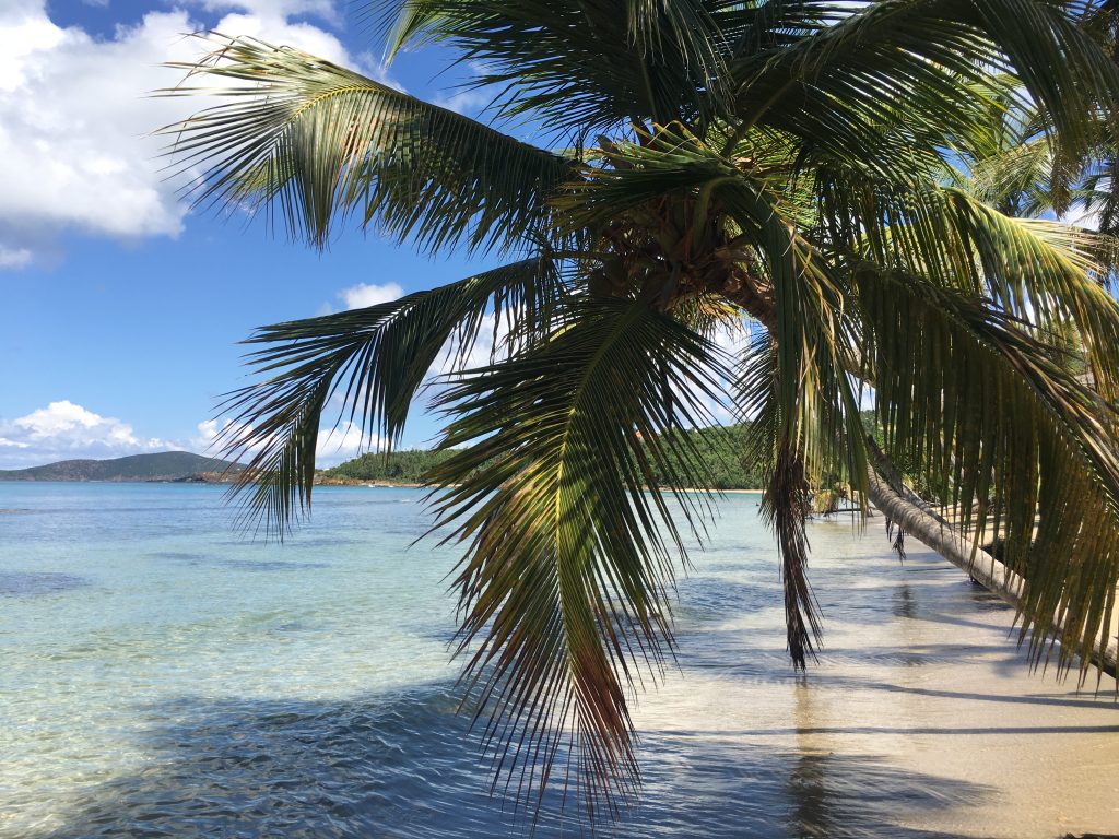 Beach Proposal St Thomas